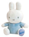 blue24 Discord emoji