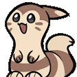 Furret Furret