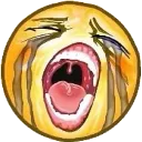 sob_real
