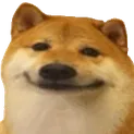 K9_Kitchen_A8_Doge_Hehe