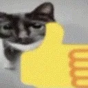 cat_thumbs_up