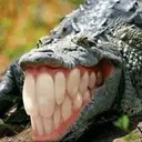 crocsmile