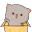 6_nyaawave
