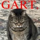 GART