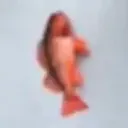 FIISH
