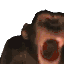 :MONKE: