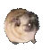 pugPls
