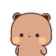 bearStare