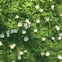 touch_it_touch_the_grass