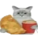 cat_food