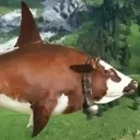 mooark