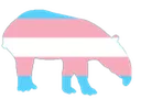 HG_TransTapir