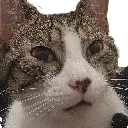 ketamine_Soup