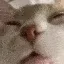 urk