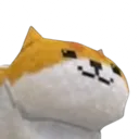 calicocat calicocat
