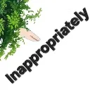 fairytouchinappropriately