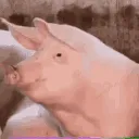 SvintusSobi