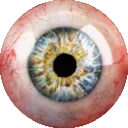eyek