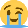 cry_wink