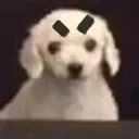 dogAngy