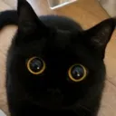 goob_stare