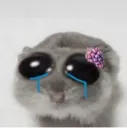 sadrat
