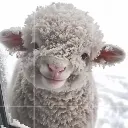 Cute_smile