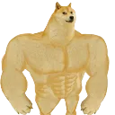 sigmadoge