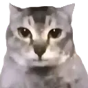 Emoji15