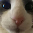 sog_question sog_question