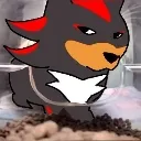 cat_shadow