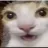 kos_ki