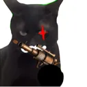 evilcat