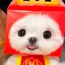 Mcblossy