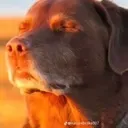 acceptance acceptance