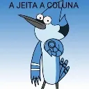 olha_a_coluna