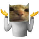 cat_shrugging