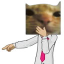 catpointlaff