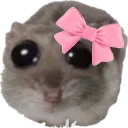 mastaani_pookie