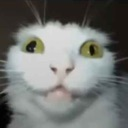 :hell_yeah_buddy: