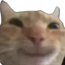 e_catsmile