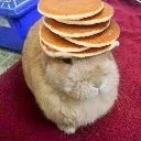 DOM_withmorepancakes