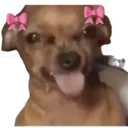 asonimika1