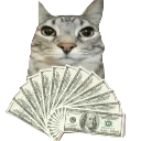 iamstacked