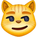 :smirk_cat: