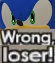 SonicWrong