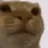 catstare