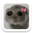 coquette