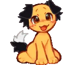 cl_reki_border_collie_wag