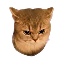 grumpy grumpy